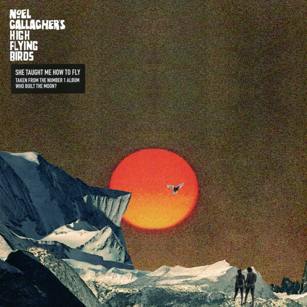 Cover Noel Gallagher's High Flying Birds - She Taught Me How To Fly (12, Single) Schallplatten Ankauf