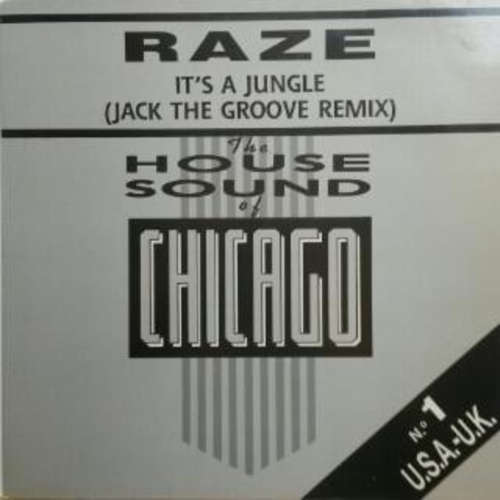 Cover Raze - It's A Jungle (Jack The Groove Remix) (12, Maxi) Schallplatten Ankauf