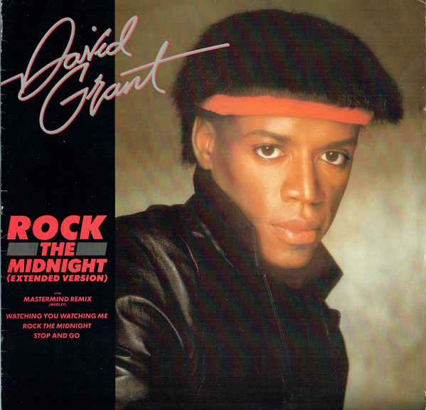 Bild David Grant - Rock The Midnight (12) Schallplatten Ankauf