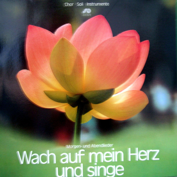 Bild S+G Studiochor* - Wach Auf, Mein Herz, Und Singe: Morgen- Und Abendlieder (LP, Album) Schallplatten Ankauf