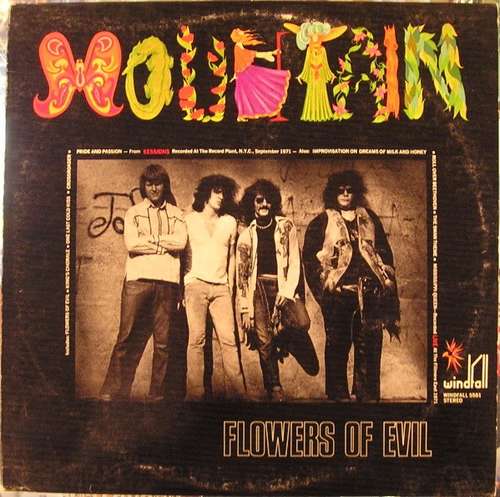 Cover Flowers Of Evil Schallplatten Ankauf