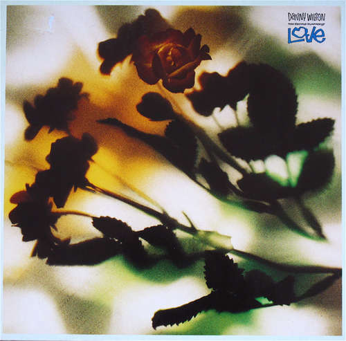 Cover Danny Wilson (2) - The Second Summer Of Love (12) Schallplatten Ankauf