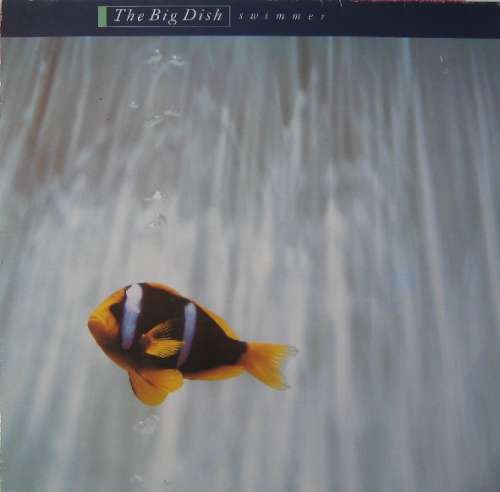 Cover The Big Dish - Swimmer (LP, Album) Schallplatten Ankauf
