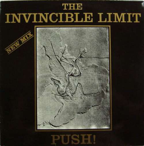 Cover The Invincible Limit - Push! (New Mix) (12) Schallplatten Ankauf