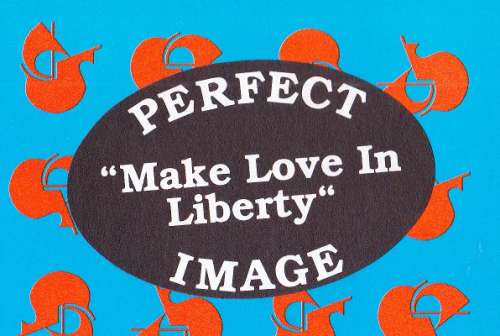 Cover Perfect Image - Make Love In Liberty (12, Maxi, Promo) Schallplatten Ankauf
