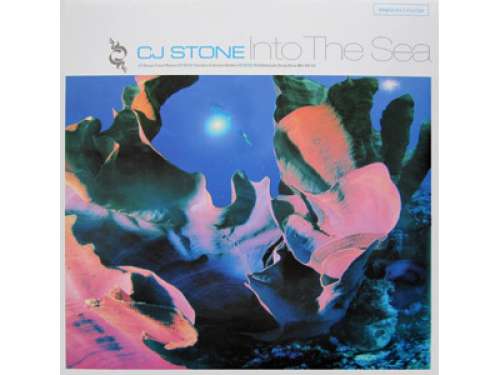 Cover CJ Stone - Into The Sea (Vinyl 2) (12) Schallplatten Ankauf