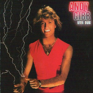 Bild Andy Gibb - After Dark (LP, Album) Schallplatten Ankauf