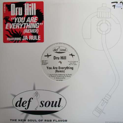 Cover Dru Hill - You Are Everything (Remix) (12, Promo) Schallplatten Ankauf