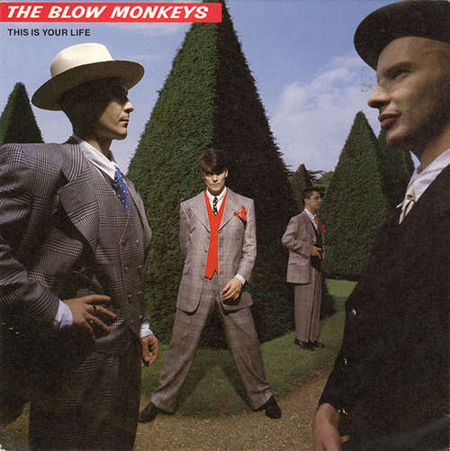 Cover The Blow Monkeys - This Is Your Life (7, Single) Schallplatten Ankauf