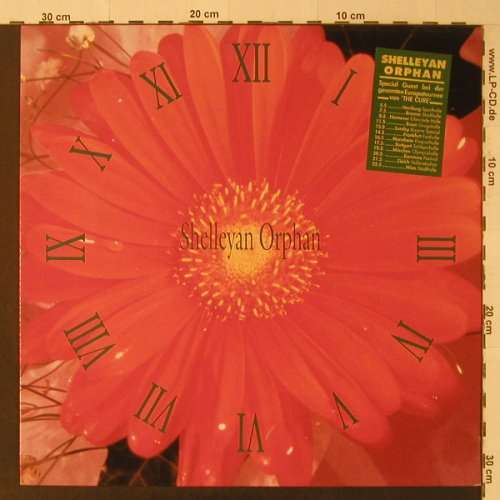 Cover Shelleyan Orphan - Century Flower (LP, Album) Schallplatten Ankauf
