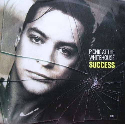 Cover Picnic At The Whitehouse - Success (7, Single) Schallplatten Ankauf