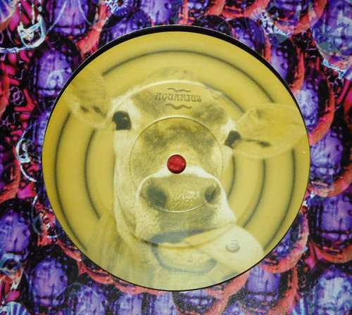 Cover Slapper - The Cowboy Song (12) Schallplatten Ankauf