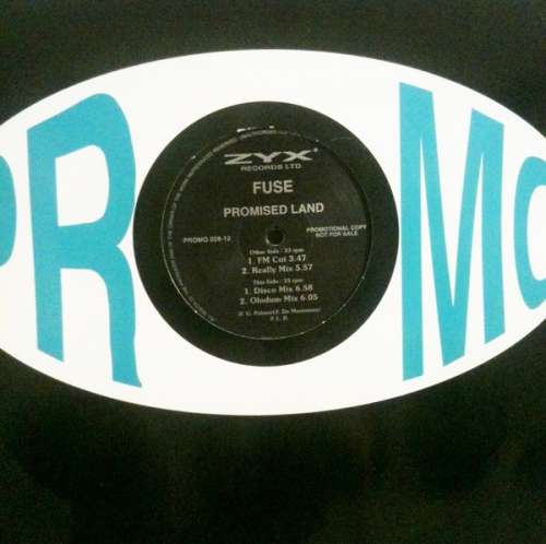 Cover F.U.S.E. (2) - Promised Land (12, Promo) Schallplatten Ankauf