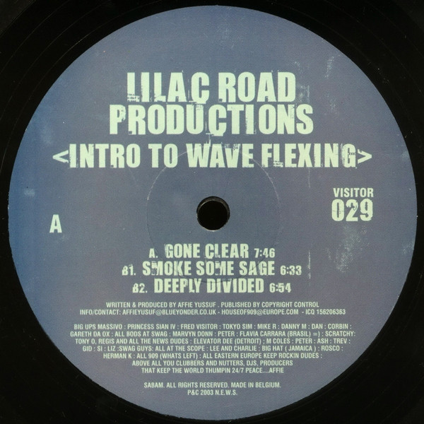 Bild Lilac Road Productions - Intro To Wave Flexing (12) Schallplatten Ankauf