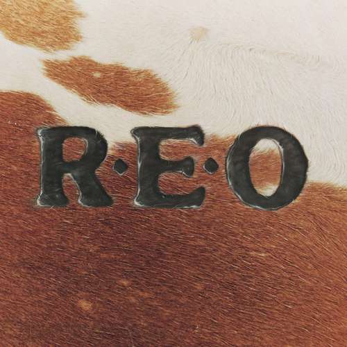 Cover REO Speedwagon - R.E.O. (LP, Album) Schallplatten Ankauf