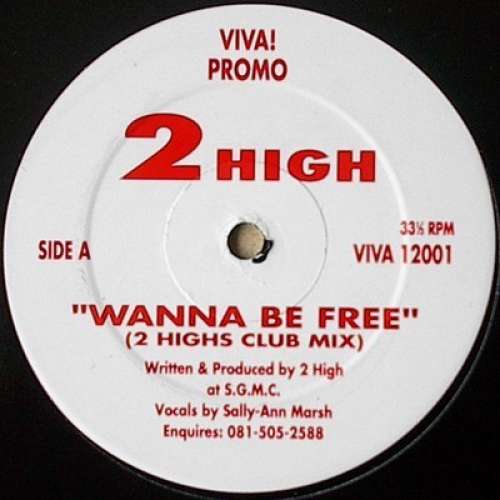 Cover 2 High - Wanna Be Free (12, Promo) Schallplatten Ankauf