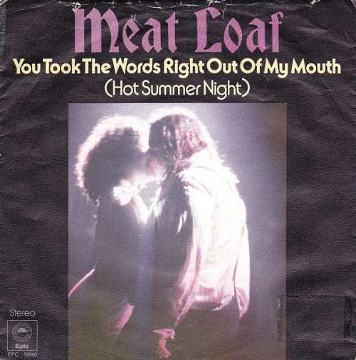 Cover Meat Loaf - You Took The Words Right Out Of My Mouth (Hot Summer Night) (7, Single) Schallplatten Ankauf