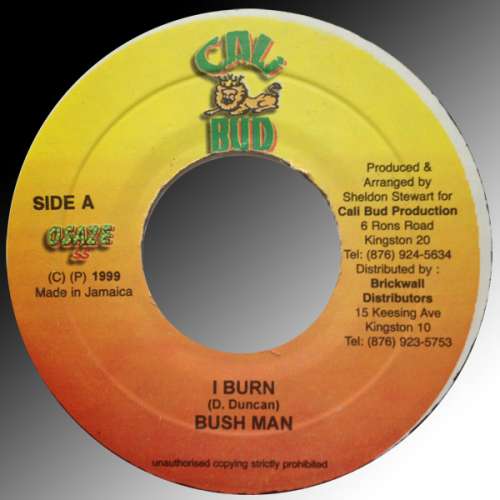 Cover Bush Man* - I Burn (7) Schallplatten Ankauf