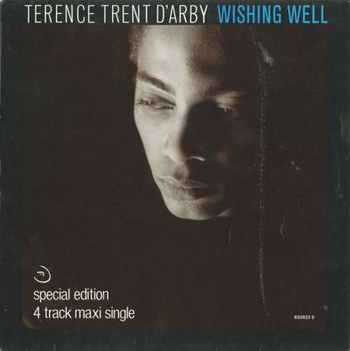 Cover Terence Trent D'Arby - Wishing Well (12, Maxi) Schallplatten Ankauf