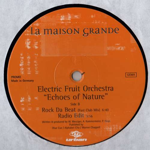 Cover Electric Fruit Orchestra - Echoes Of Nature (12, Promo) Schallplatten Ankauf