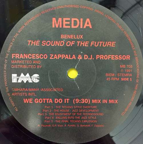 Cover DJ Professor & Francesco Zappalà - We Gotta Do It (12) Schallplatten Ankauf