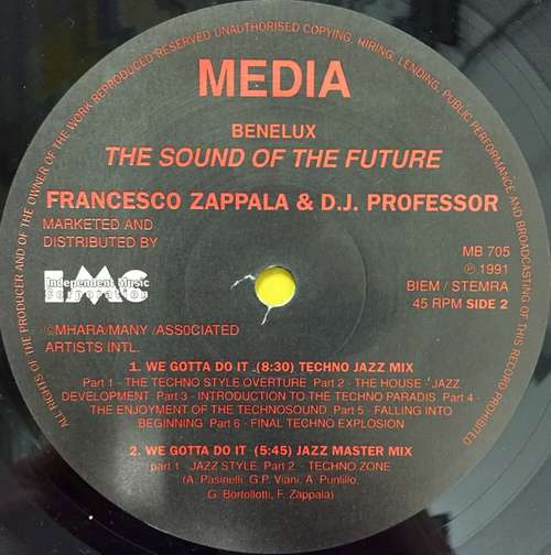 Cover DJ Professor & Francesco Zappalà - We Gotta Do It (12) Schallplatten Ankauf