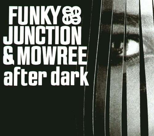 Cover Funky Junction & Mowree - After Dark (12) Schallplatten Ankauf