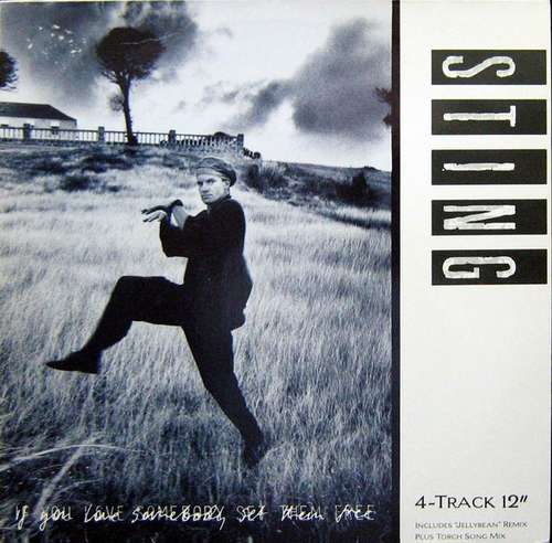 Cover Sting - If You Love Somebody Set Them Free (12, Maxi) Schallplatten Ankauf
