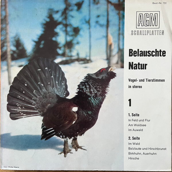 Cover No Artist - Belauschte Natur 1  Vogel- und Tierstimmen in stereo (LP, Album) Schallplatten Ankauf