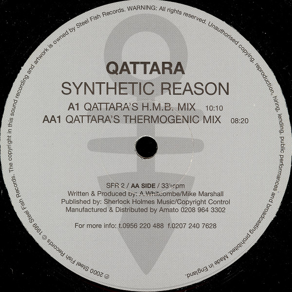 Bild Qattara - Synthetic Reason (12) Schallplatten Ankauf