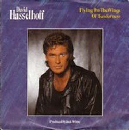 Cover David Hasselhoff - Flying On The Wings Of Tenderness (12, Maxi) Schallplatten Ankauf
