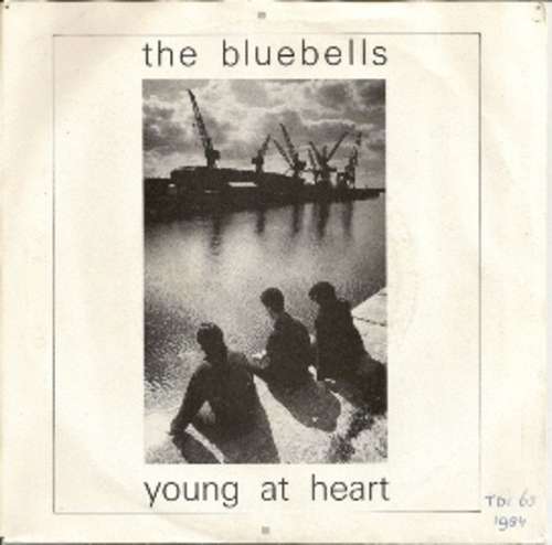 Cover The Bluebells - Young At Heart (7, Single) Schallplatten Ankauf