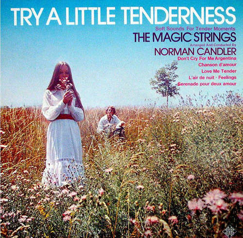 Cover The Magic Strings - Try A Little Tenderness - Soft Sounds For Tender Moments (LP, Album) Schallplatten Ankauf