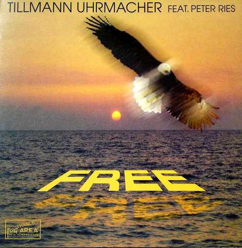 Cover Free Schallplatten Ankauf