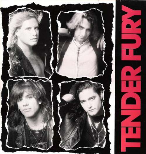 Cover Tender Fury - Tender Fury (LP, Album) Schallplatten Ankauf