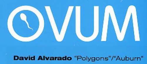 Cover David Alvarado - Polygons / Auburn (12) Schallplatten Ankauf