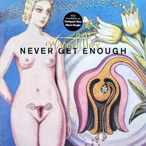 Cover Waterlillies - Never Get Enough (12) Schallplatten Ankauf