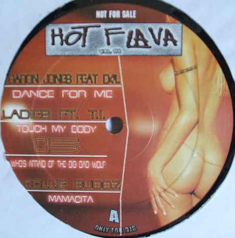 Bild Various - Hot Flava Vol. 05 (12, Promo) Schallplatten Ankauf