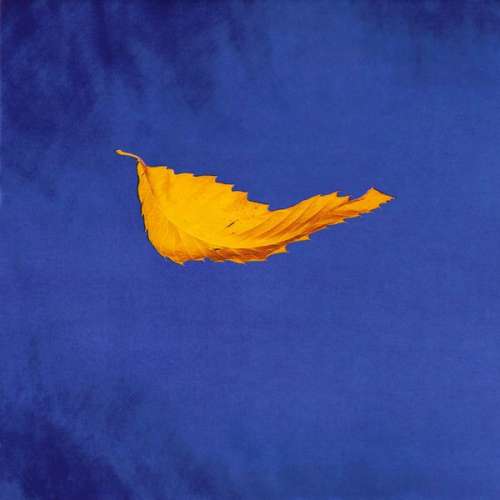 Cover New Order - True Faith (7, Single) Schallplatten Ankauf