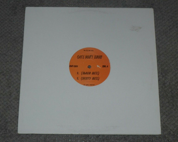 Cover DMX - Catz Don't Know (12) Schallplatten Ankauf