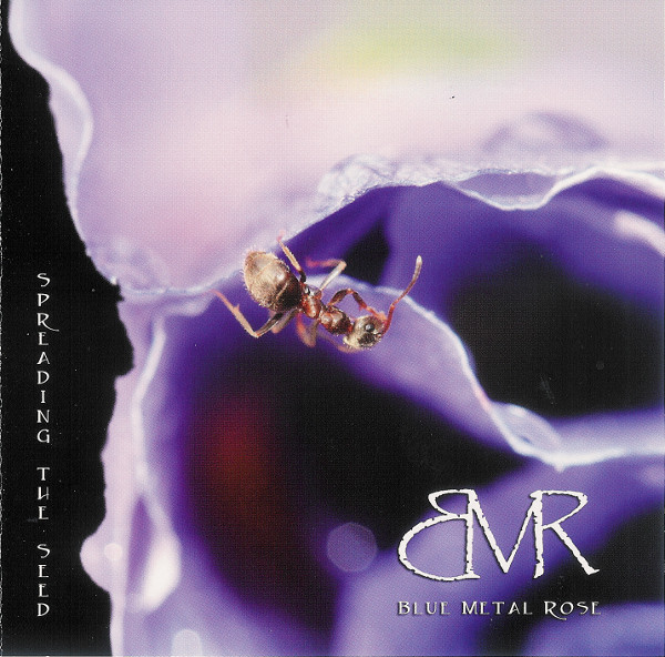 Bild Blue Metal Rose - Spreading The Seed (CD) Schallplatten Ankauf