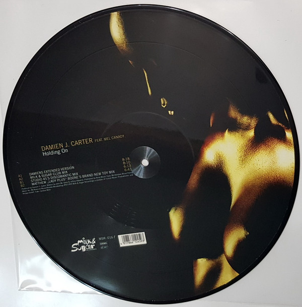 Cover Damien J. Carter Feat. Mel Canady - Holding On (12, Pic) Schallplatten Ankauf