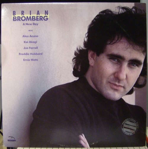 Cover Brian Bromberg - A New Day (LP) Schallplatten Ankauf