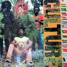 Bild Culture - International Herb (LP, Album) Schallplatten Ankauf