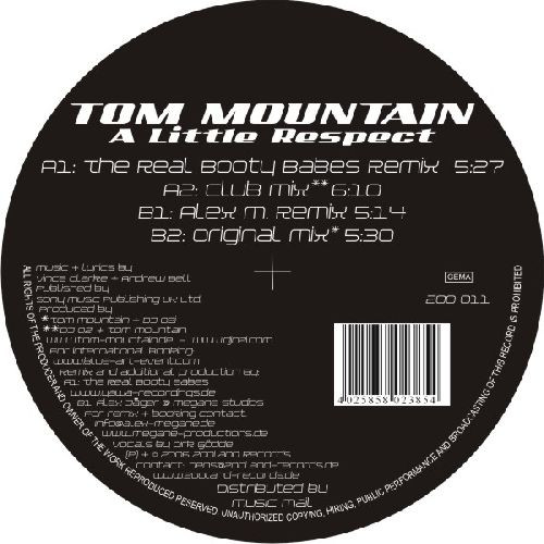 Bild Tom Mountain - A Little Respect (12) Schallplatten Ankauf