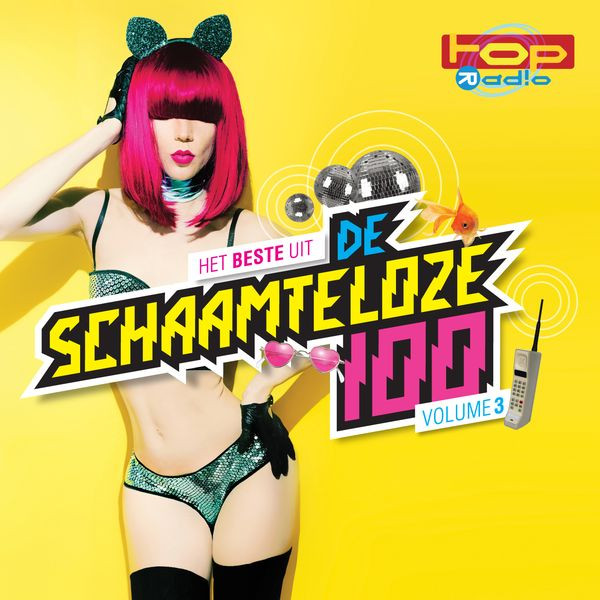 Bild Various - Het Beste Uit De Schaamteloze 100 - Volume 3 (4xCD, Comp) Schallplatten Ankauf