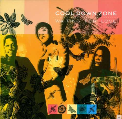 Cover Cool Down Zone - Waiting For Love (12) Schallplatten Ankauf