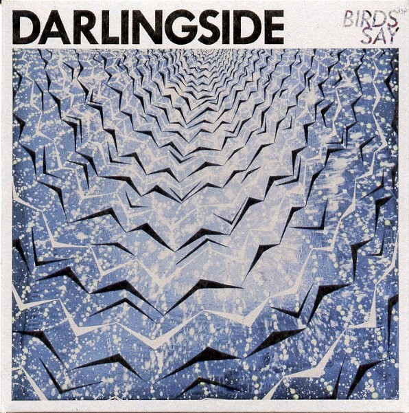 Cover Darlingside - Birds Say (2xLP, Album) Schallplatten Ankauf