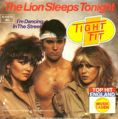 Cover The Lion Sleeps Tonight Schallplatten Ankauf