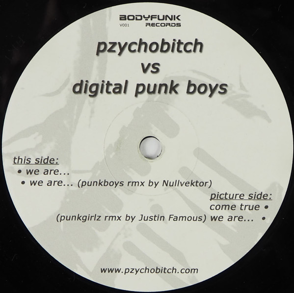Cover Pzychobitch vs. Digital Punk Boys - We Are... (12) Schallplatten Ankauf